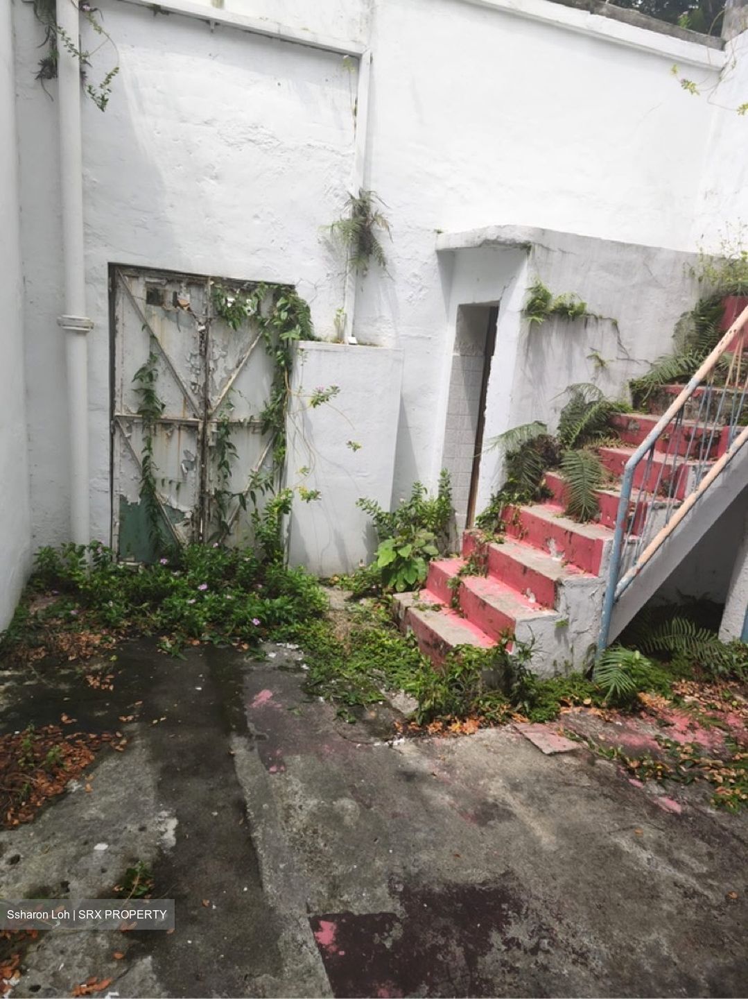 Serangoon Road (D8), Shop House #631057801